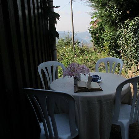 Casa Do Moleiro ξενώνας Cinfaes Εξωτερικό φωτογραφία